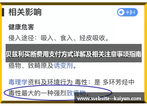 贝兹利买断费用支付方式详解及相关注意事项指南