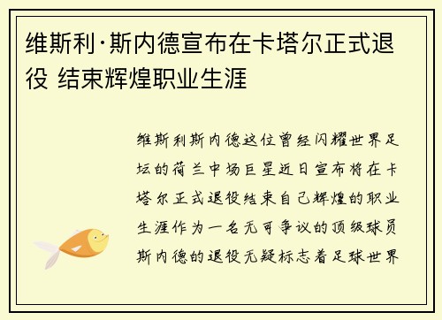 维斯利·斯内德宣布在卡塔尔正式退役 结束辉煌职业生涯 维斯利·斯内德宣布在卡塔尔正式退役 结束辉煌职业生涯